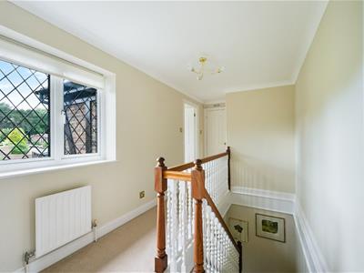Picture 7
